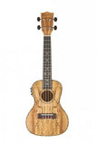 Buy Blackwater YWUK 24Fm Spalted Maple Ukulele at Guitar Crazy