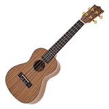 Buy Snail Zebrawood Concert Ukulele - UKC-480E at Guitar Crazy